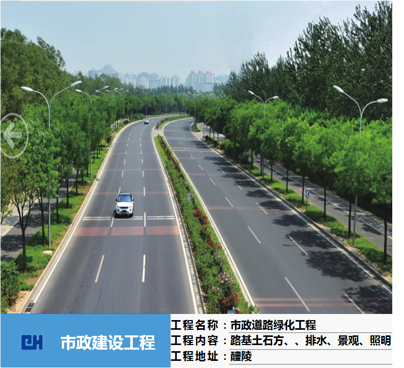 市政道路绿化